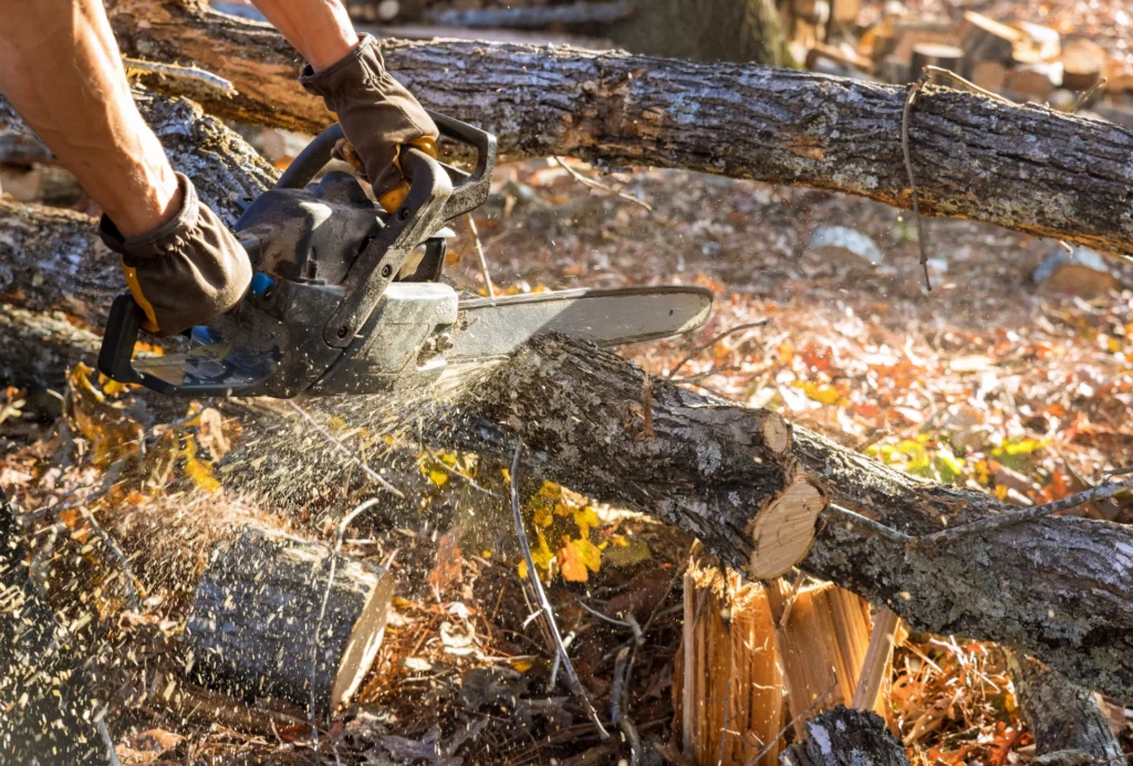 Nationwide Safety and Training - Chainsaw Training Courses